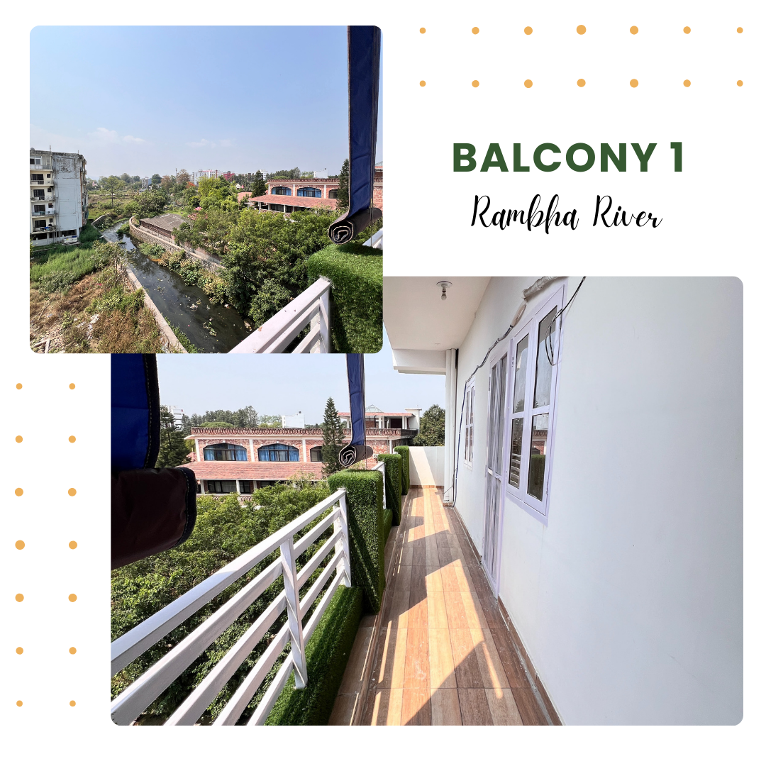 View from Balcony